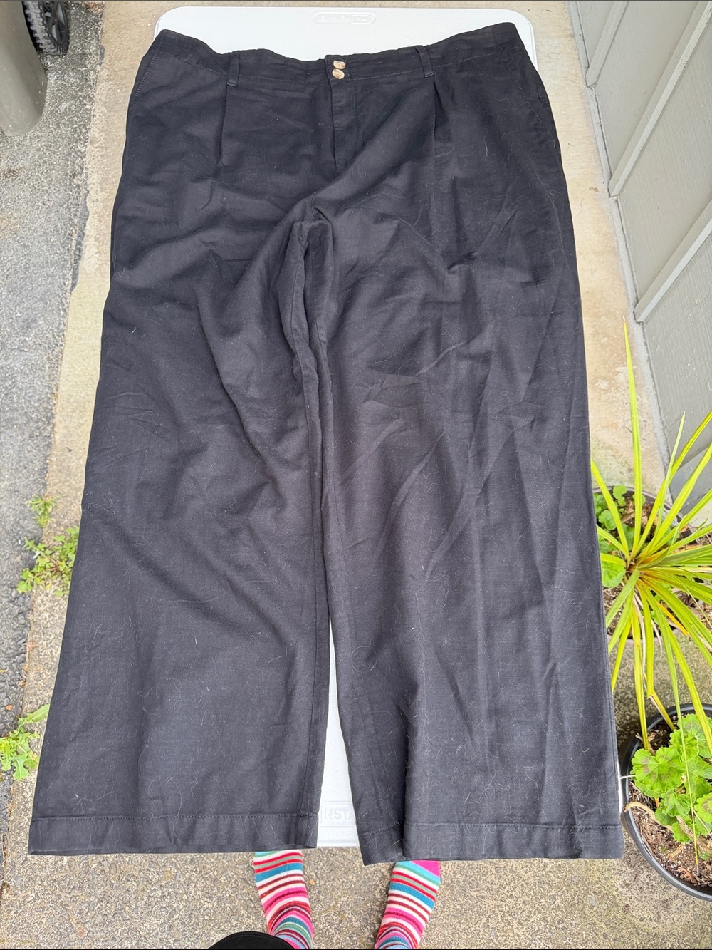 LC Lauren Conrad Women’s Black Pants